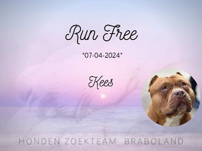 Kees, Oosterhout. *Run Free*