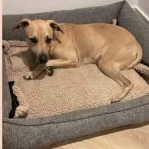 Update: Bright, Dorst.