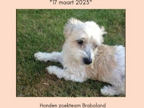 Juultje, Raamsdonksveer. *Run Free*