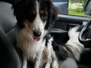 Update: Boris, Tilburg.