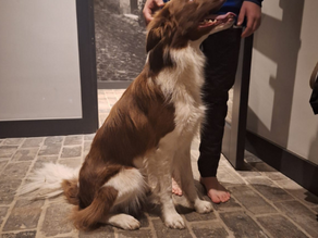 Update: Duco, Waspik.