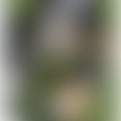 Update: Humphrey, Breda.