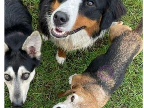Update: Humphrey, Breda.