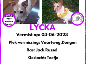 !! Lycka Nog steeds vermist !!