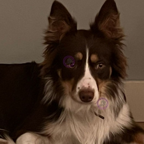 Update: Nala, Hulten.