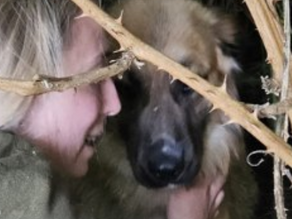 Update: Kanjo, Velddriel/Hoenzadriel.
