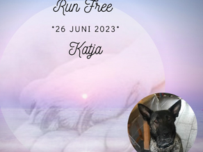 Katja, Dongen. *Run Free*