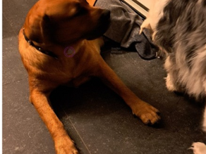 Update: Bumper, De Moer.
