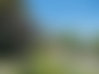 Behind the Gates: Touring Bel Air (90077) and Beverly Hills (90210)