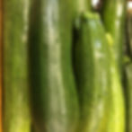 Zucchini