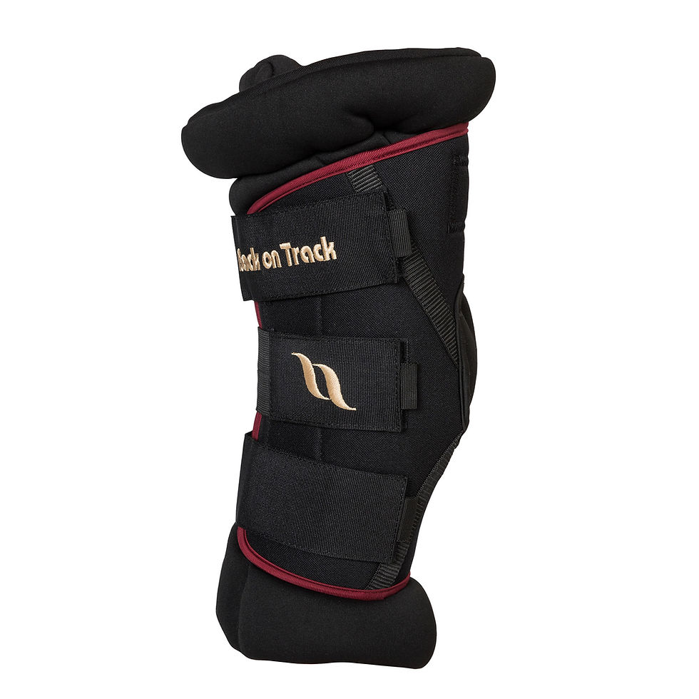 Thumbnail: Royal Padded Hock Boots Deluxe