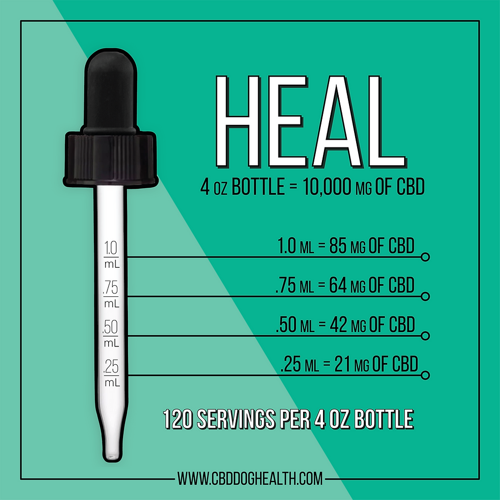 Thumbnail: Heal - for horses
