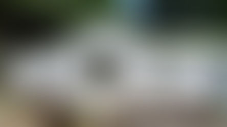 FCS update - 18 June 2025