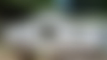 FCS update - 18 June 2025