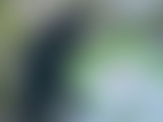 FCS update - 11 March 2026