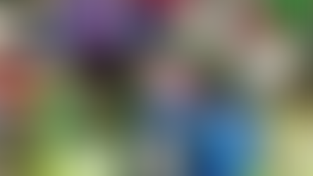 FCS update - 23 October 2024