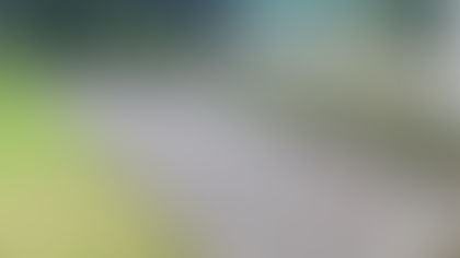 FCS update - 2 July 2025