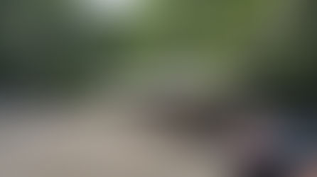 Fairwarp Village Hall Centenary Lunch - Saturday 21 June 2025