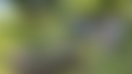 FCS update - 21 May 2025