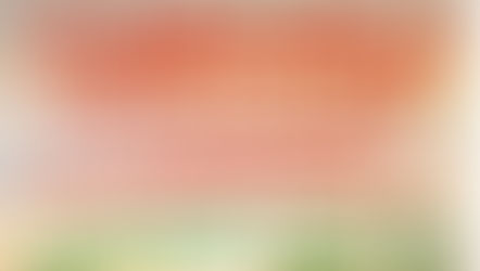 FCS update - 24 September 2025