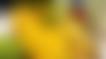 FCS update - 29 July 2025