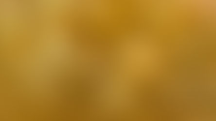 WI News - December 2025