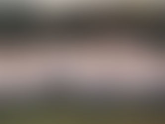 History of Christ Church Fairwarp- Recovering vision for the future