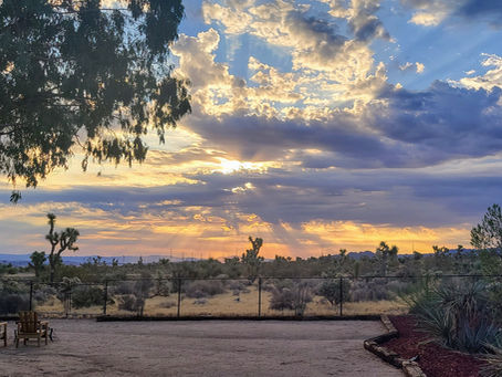 Why Good Boundaries Make Deeper Love Possible