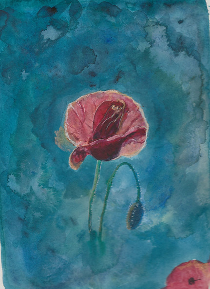 coquelicot solitaire mai 21.jpeg