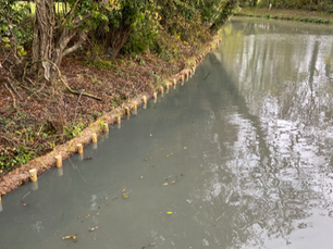 Our Work: Habitat Creation Works