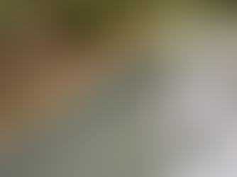 Our Work: Habitat Creation Works