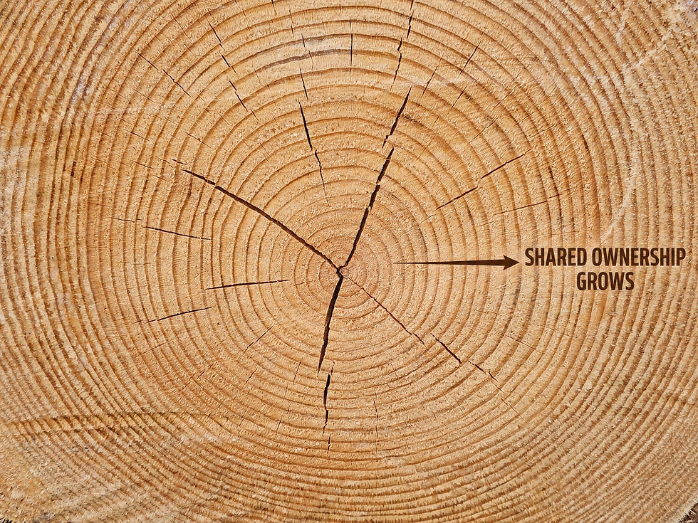 Each connected turn produces a new layer of Shared Ownership.