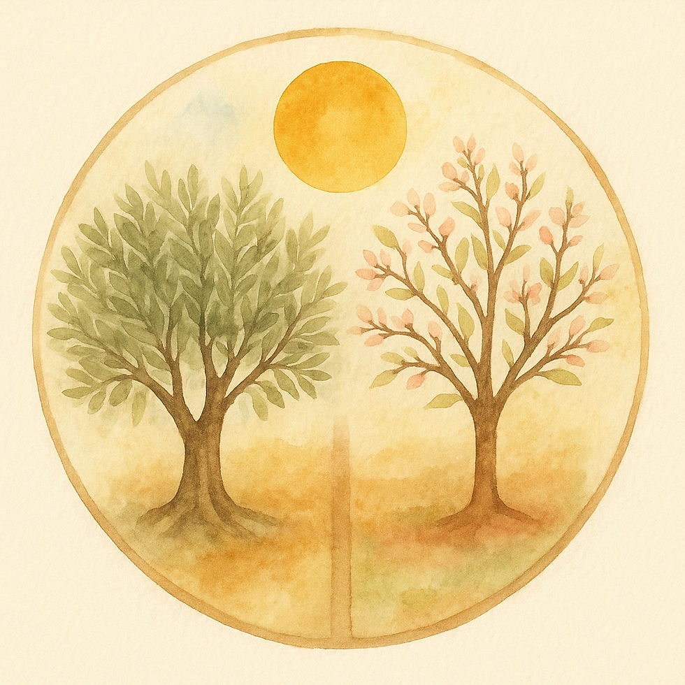An olive tree and an almond tree side by side – Israel and Palestine, rooted in the same soil, reaching toward the same Sun
