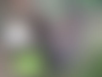 De nouveaux résidents !