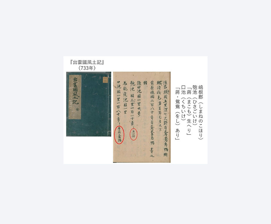 image0.jpeg