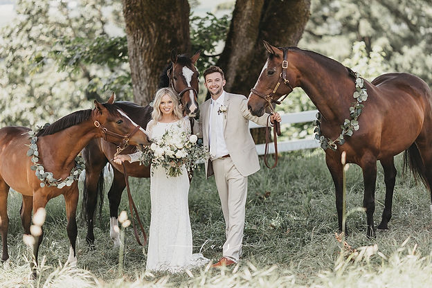 weddinghorses.jpg