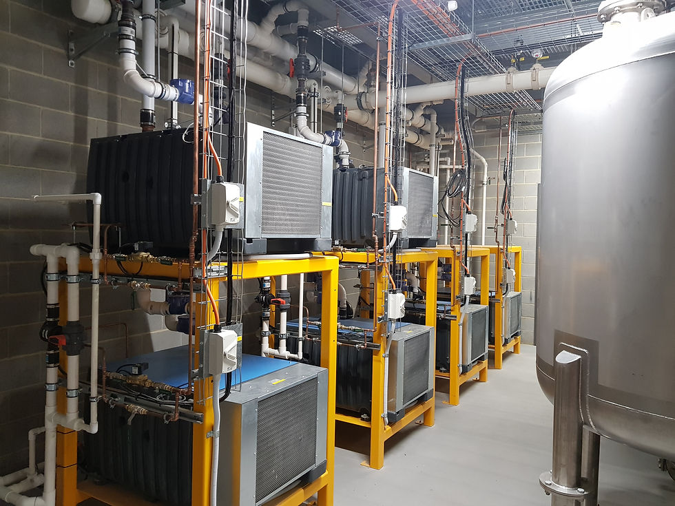 vacuum plant