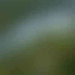 Luxury Northern Beaches New Home View