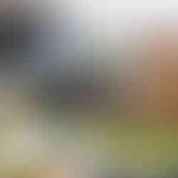 Dulwich Hill home builders renovations cathedral windows contemporary design kitchen diner