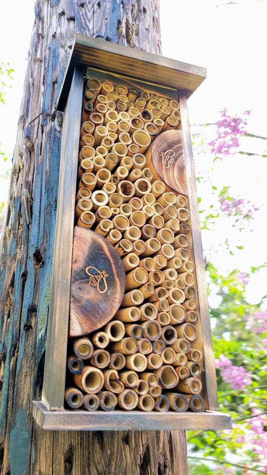 Pollinator Box Post View