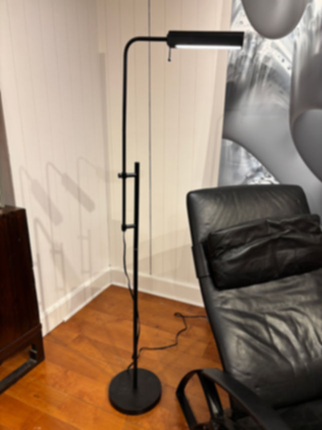 Modern Minimalist Black Metal Adjustable Pharmacy Floor Lamp