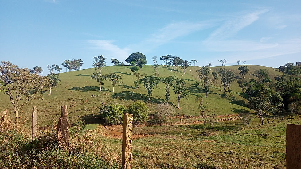 Caminho da Prece