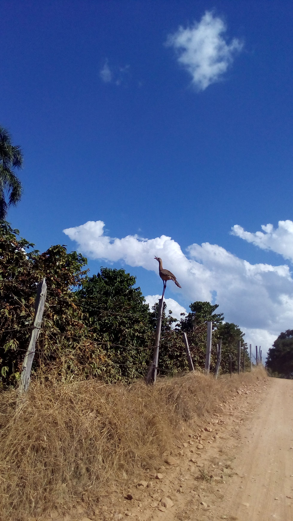 Caminho da Prece