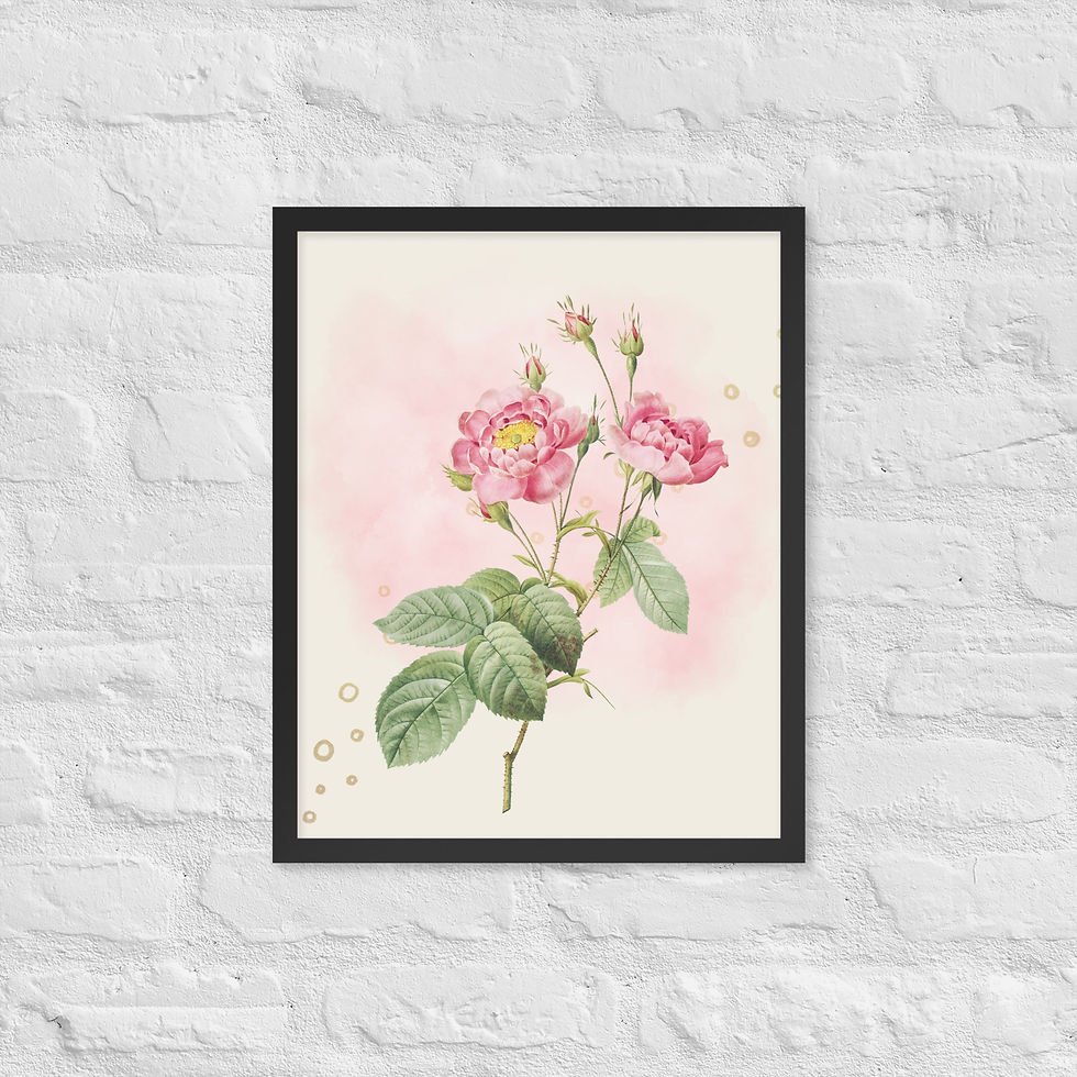 Framed Floral and Botanical Blush Elegance Vintage-Inspired Pink Rose poster