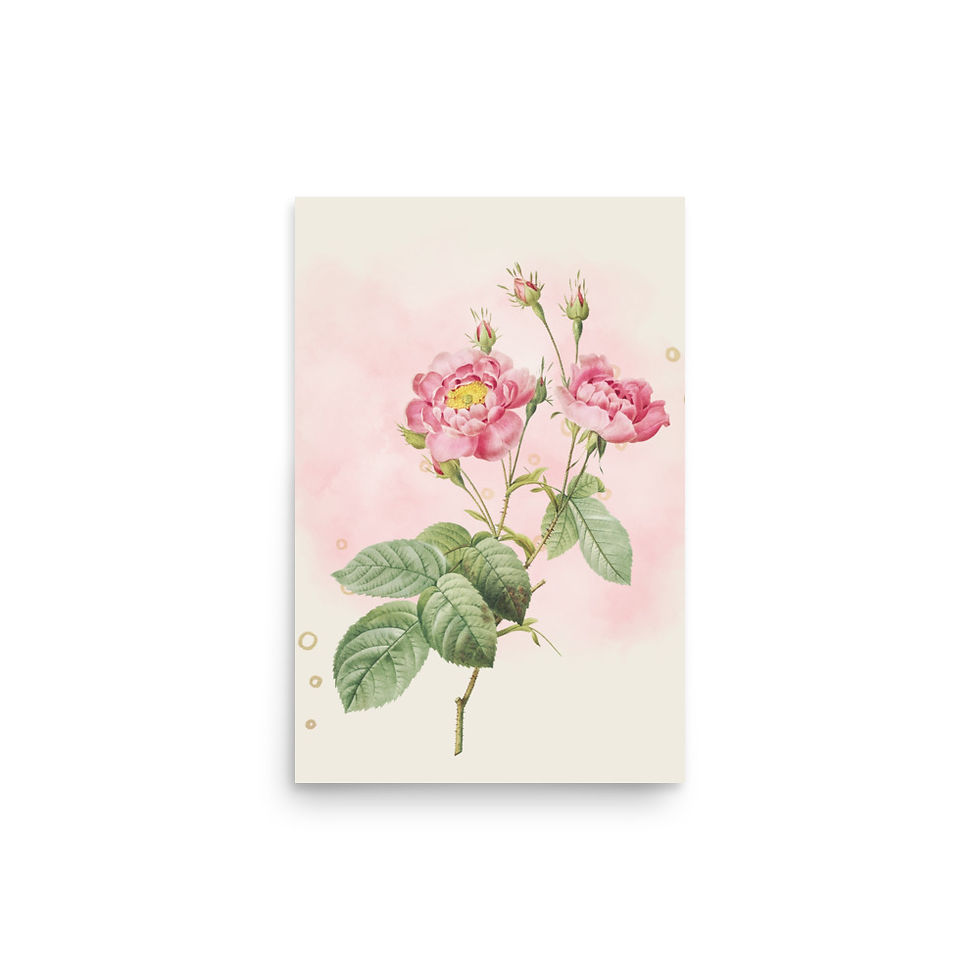 Thumbnail: Blush Elegance Vintage-Inspired Pink Rose poster Art