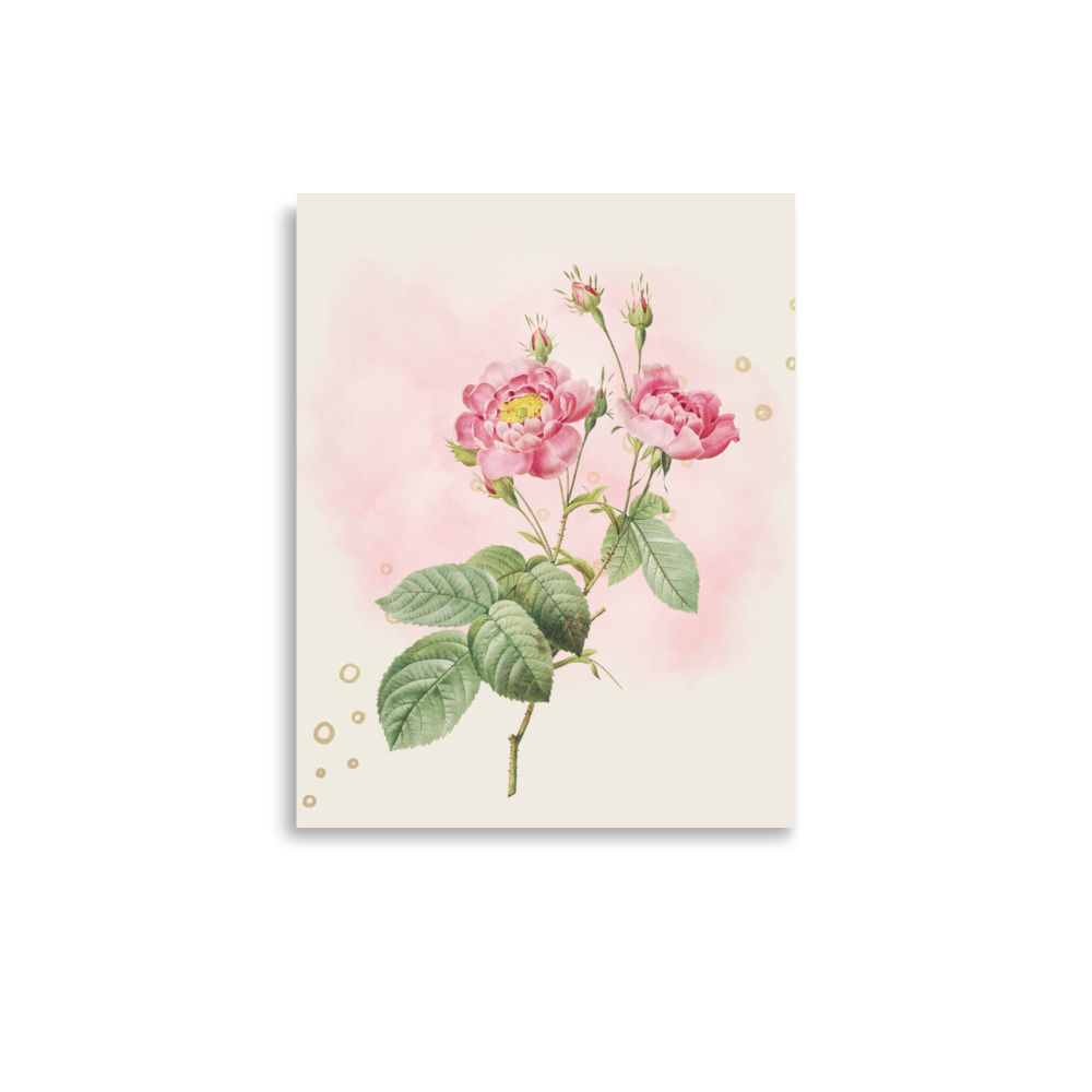 Blush Elegance Vintage-Inspired Pink Rose poster Art