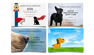 The Retriever Nation's ENS, ESI, Litter-Pan Training and Sound Desensitization Certificates