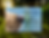 Thumbnail: Certificates of Achievement 10 Pack (of a kind)