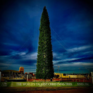 Photo of the Christ Tree, taken by Stan Ralstin