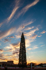 Photo of the Christ Tree, taken by Mike Klemme, KLEMME/Art